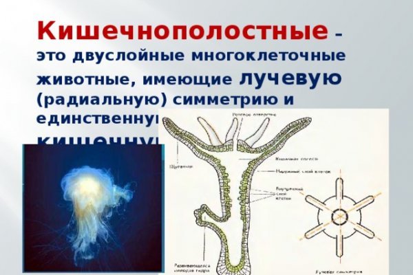 Как выводить деньги с кракена