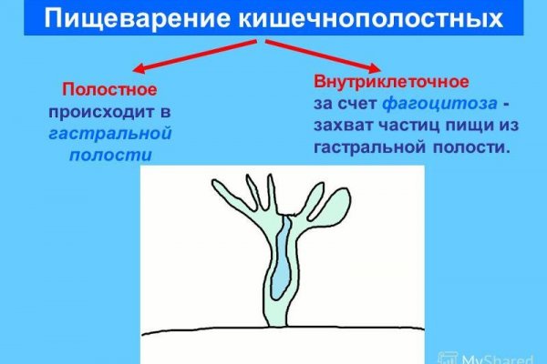 Кракен дарк сайт